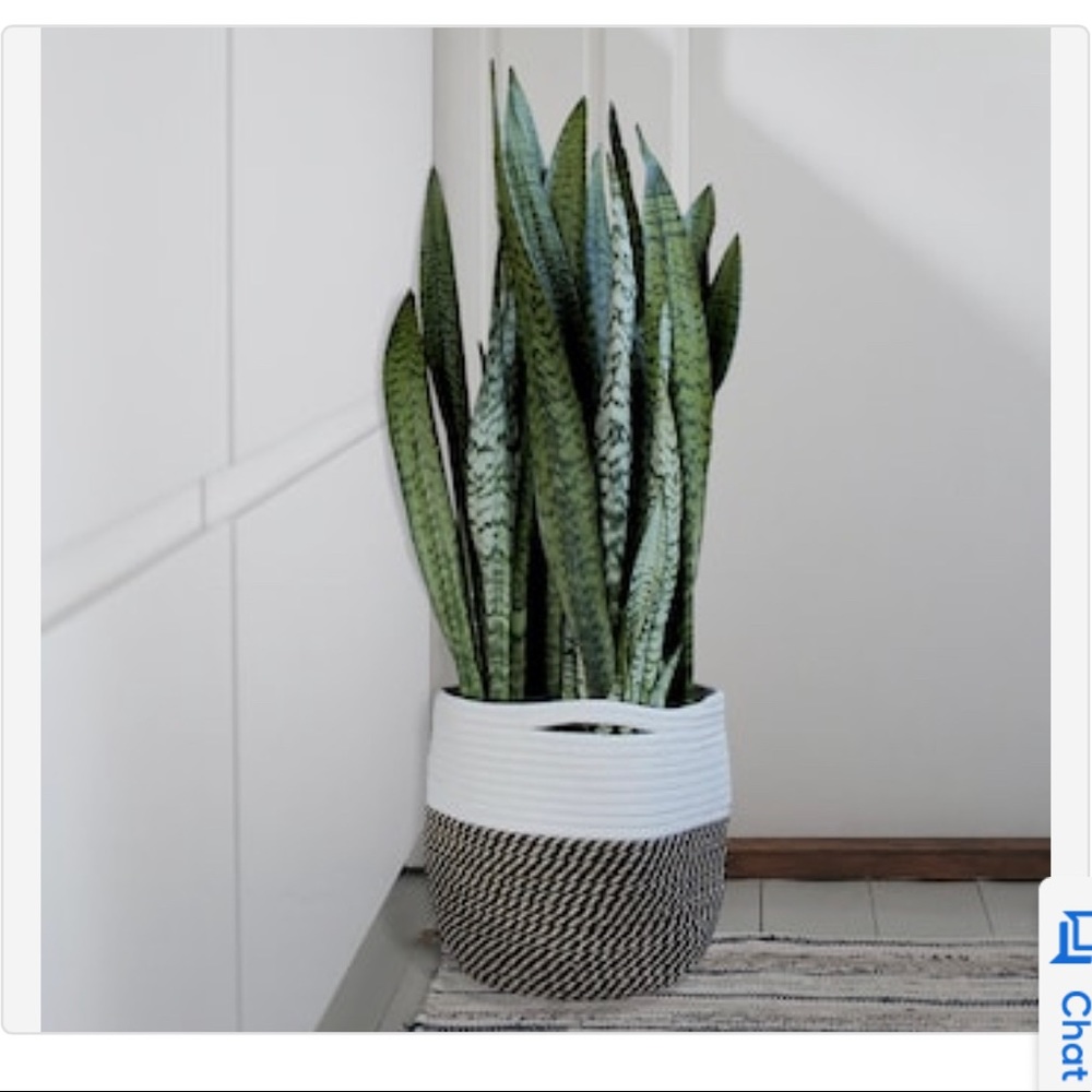 NIB Fabric planter bag basket plant set of 2